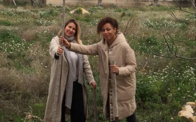 Una ‘Morera’ de Laura Cárdenas y Patricia Torregrosa